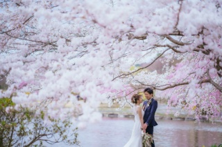 福島県内は桜スポットが多く、約1か月様々な場所で撮影可能です◎