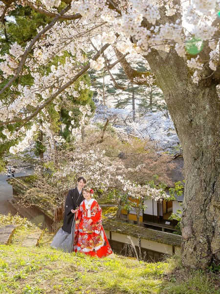 茶室と桜を入れてみました(^_-)-☆