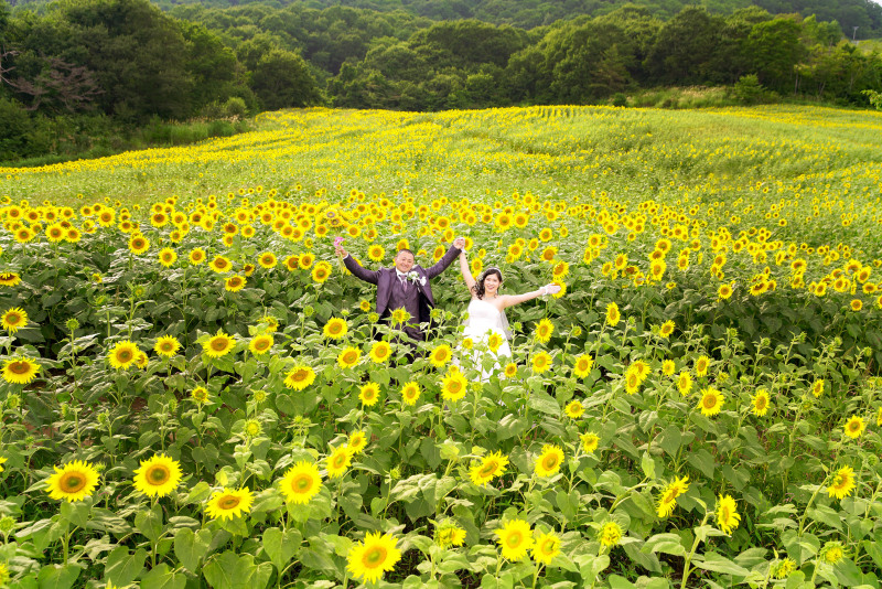 ひまわり撮影スタート♪