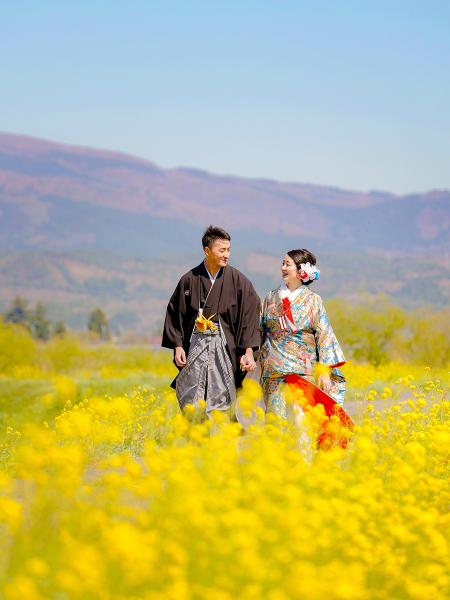 河川敷の菜の花