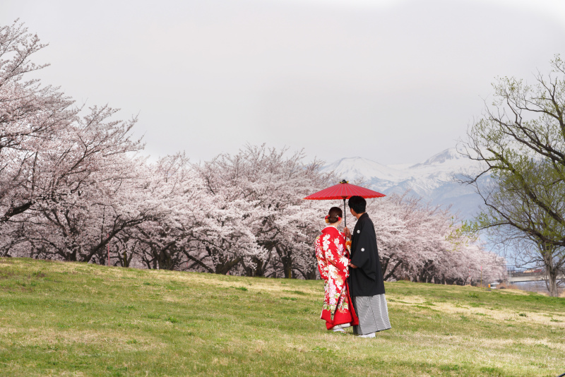 桜と吾妻小富士