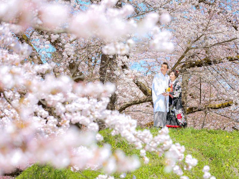 見つめる先に...