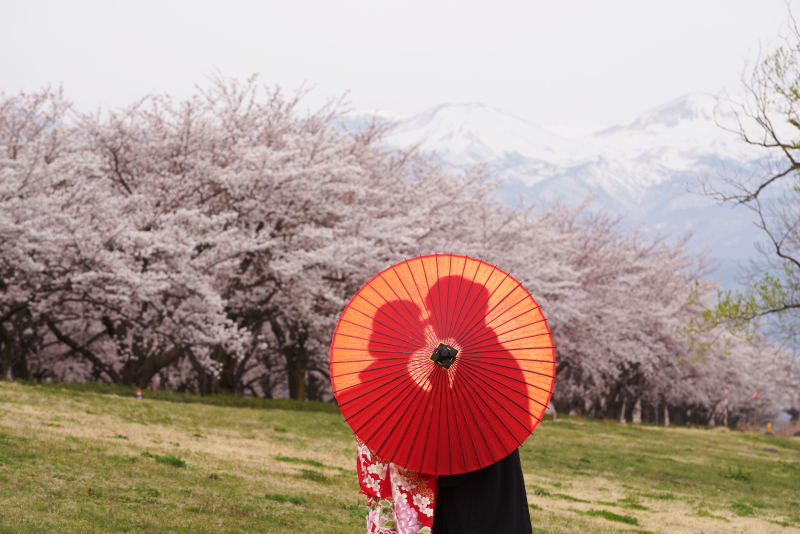 傘のシルエット