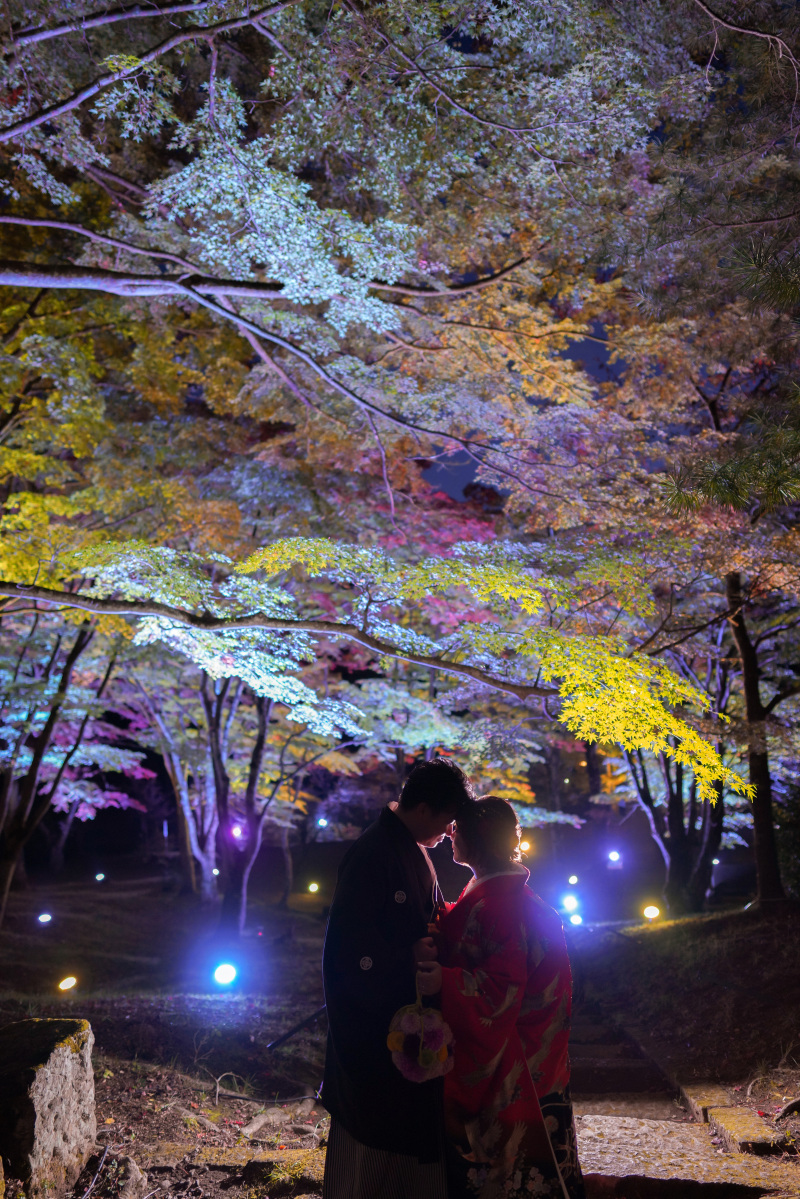 ライトアップ☆