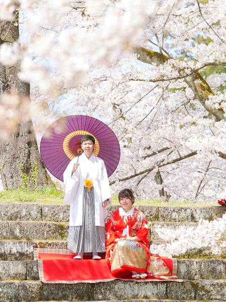 桜の間から(≧▽≦)
