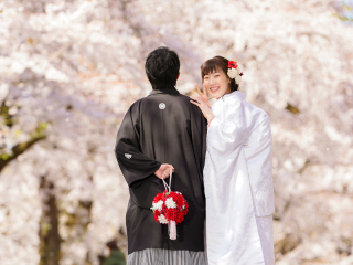 春を満喫(*^▽^*)