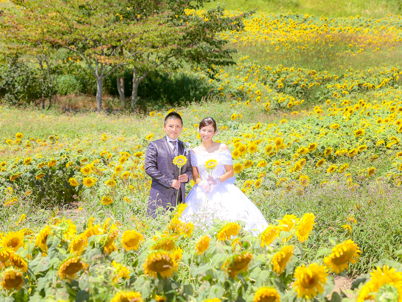 一輪の向日葵と...