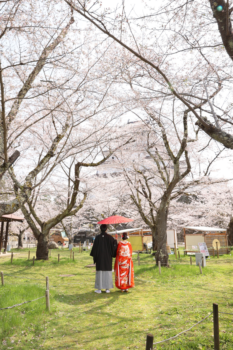 撮影スタートです。