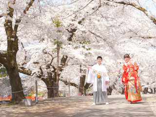 鶴ヶ城 桜ロケーションフォト(*'ω'*)