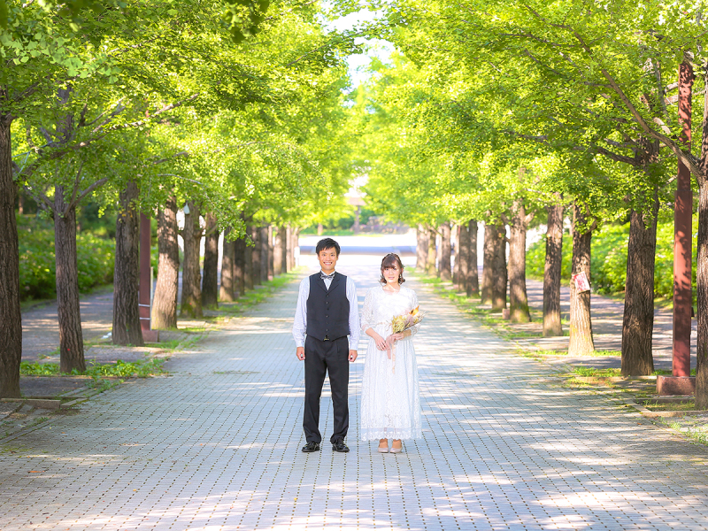 吾妻運動公園のイチョウ並木