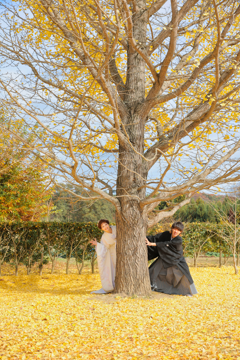 ひょっこり～♪