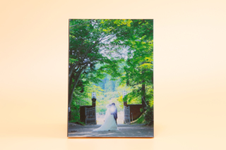 アルバム（10ページ）