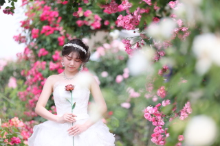 新婦様のヘッドパーツ