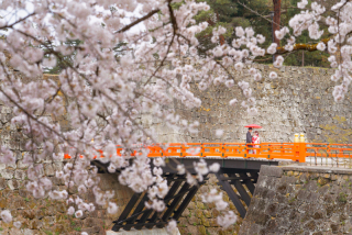 オレンジスタジオ会津若松_春-Spring-#04