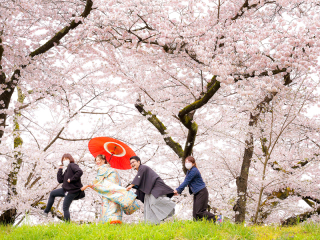 オレンジスタジオ会津若松_春-spring #01