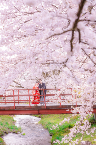 オレンジスタジオ会津若松_春-Spring-#05