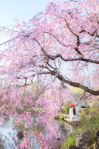 オレンジスタジオ会津若松_春-Spring-#05