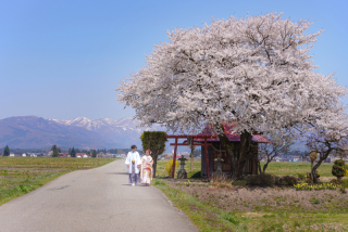 オレンジスタジオ会津若松_春-Spring-#04