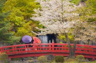 オレンジスタジオ会津若松_春-Spring-#05