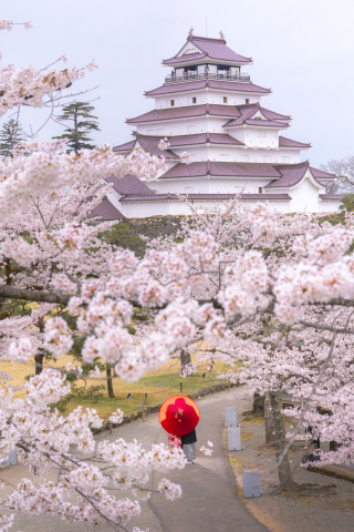 オレンジスタジオ会津若松_春-Spring-#05