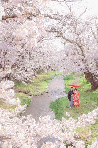 オレンジスタジオ会津若松_春-Spring-#05