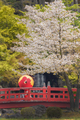 オレンジスタジオ会津若松_春-Spring-#05