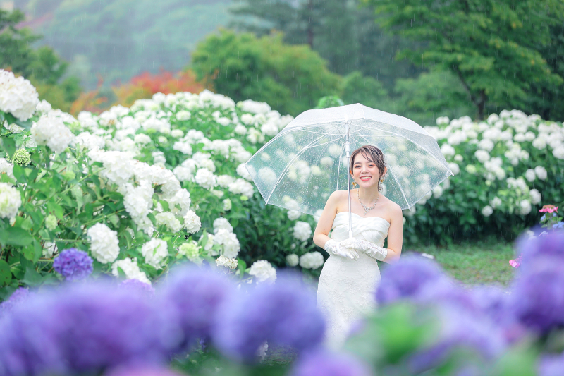 ７月限定あじさい ジュピアランド平田 全データ プラン　　　通常価格より 20％OFF ￥185,000&rarr; ￥148,000