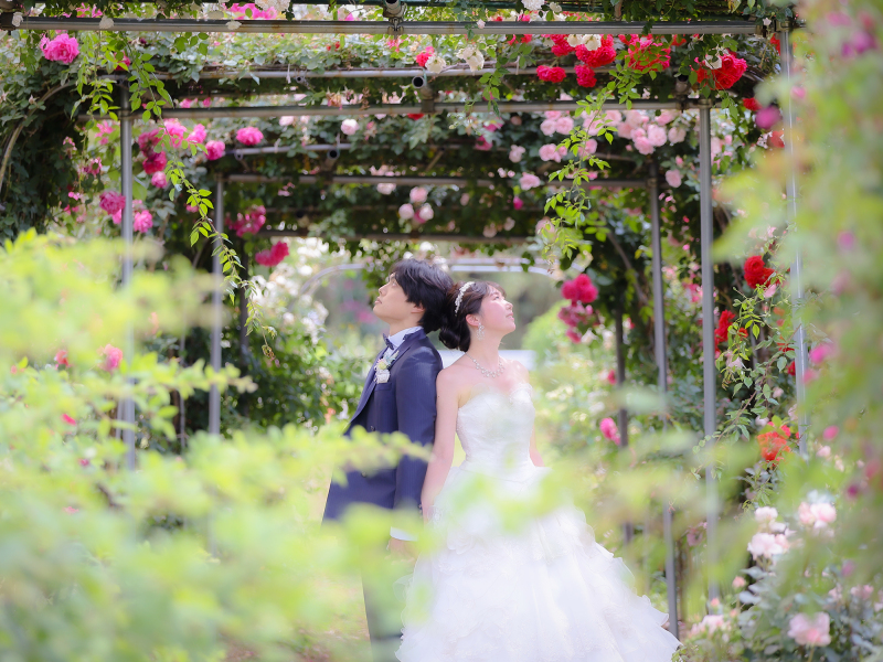 6月限定!!　ローズガーデン 洋装 全データプラン　 　通常価格より20％OFF　￥185,000&rarr;￥148,000 