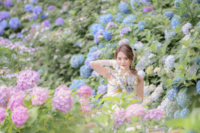 7月限定 あじさい 緑水苑 洋装 全データプラン　　　 通常価格より20％OFF　￥185,000&rarr;￥148,000