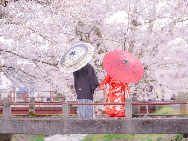 『桜』猪苗代撮影－和装－【撮影全データ付き】追加料金０円！！　