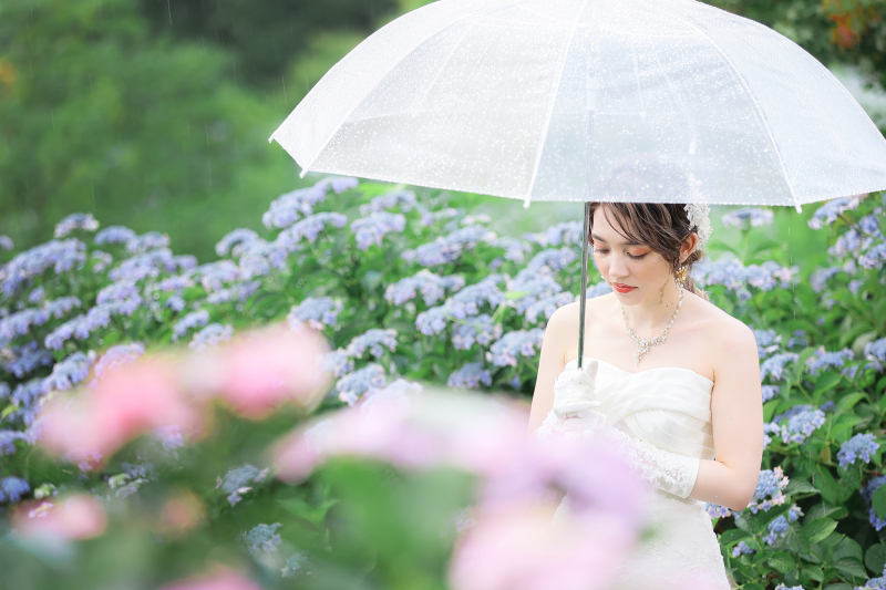 ７月限定あじさい ジュピアランド平田 全データ プラン　　　通常価格より 20％OFF ￥185,000&rarr; ￥148,000