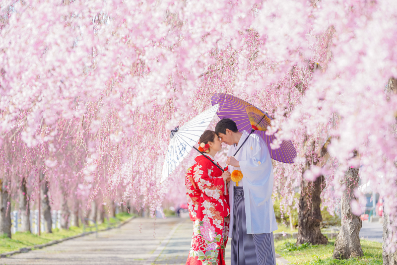 【１月３１日までのご予約限定】桜ロケーションphoto 早期予約で１０ページアルバム プレゼント☆ 土日祝日料金￥０