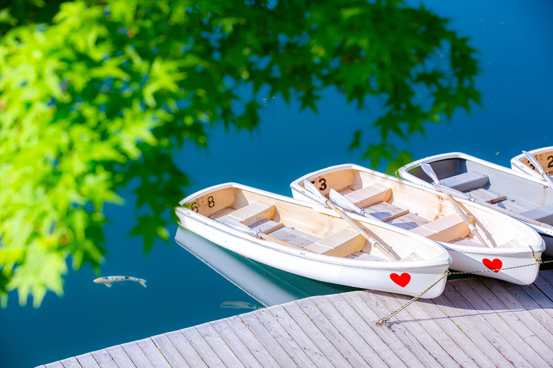 五色沼＆諸橋近代美術館 洋装 全データプラン 通常価格より　　　20％OFF 　￥179,800&rarr;￥143,840