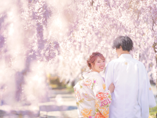 『桜』喜多方撮影－和装－【撮影全データ付き】追加料金０円！！　
