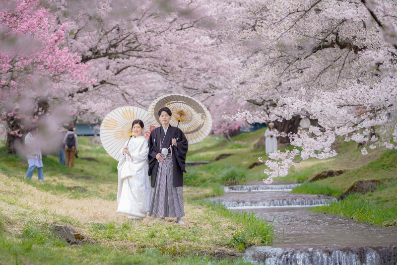 【１月３１日までのご予約限定】桜ロケーションphoto 早期予約で１０ページアルバム プレゼント☆ 土日祝日料金￥０