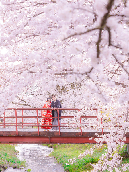 『桜』猪苗代撮影－和装－【撮影全データ付き】追加料金０円！！　
