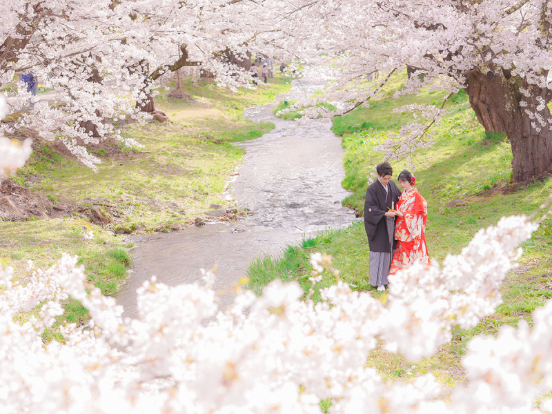 『桜』猪苗代撮影－和装－【撮影全データ付き】追加料金０円！！　