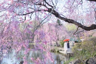 オレンジスタジオ会津若松