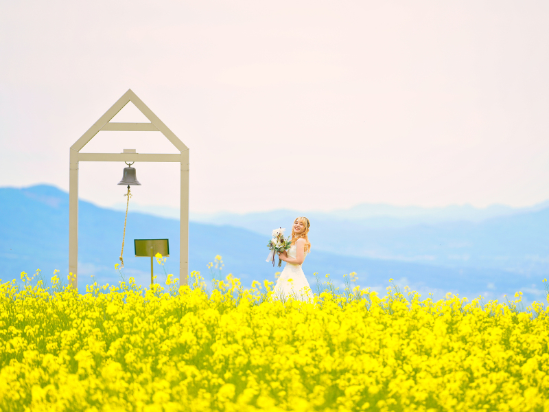 菜の花 三ノ倉 洋装 全データ プラン 通常価格より20％OFF 　　￥170,000 &rarr;￥136,000