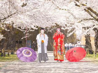桜deロケフォト-和装1着-10Pアルバム付き-
