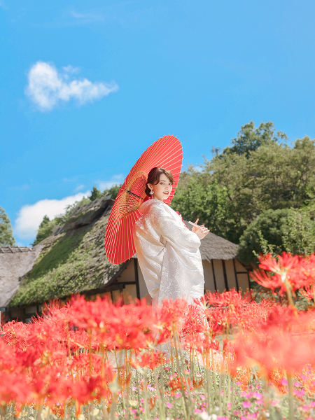 二本松ふるさと村ヒガンバナ撮るフォトウェディング 撮影時期:9月下旬~10月上旬