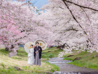 『桜』猪苗代撮影－和装－【撮影全データ付き】追加料金０円！！　