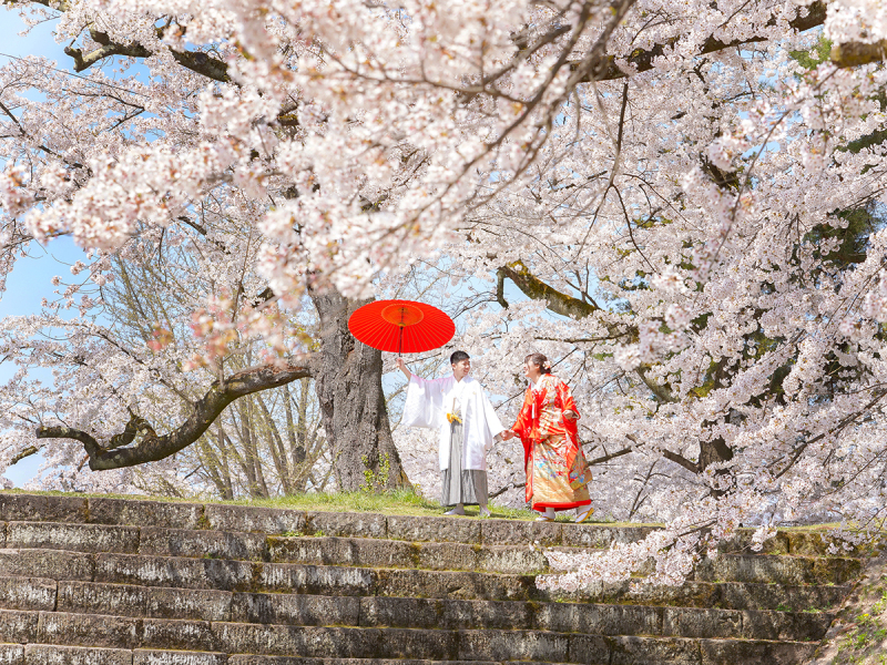 桜deロケフォト-和装1着-10Pアルバム付き-