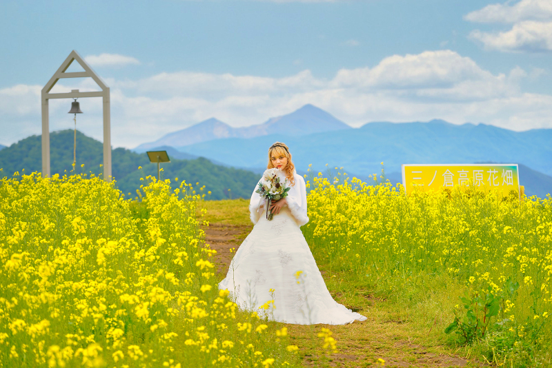 菜の花 三ノ倉 洋装 全データ プラン 通常価格より20％OFF 　　￥170,000 &rarr;￥136,000