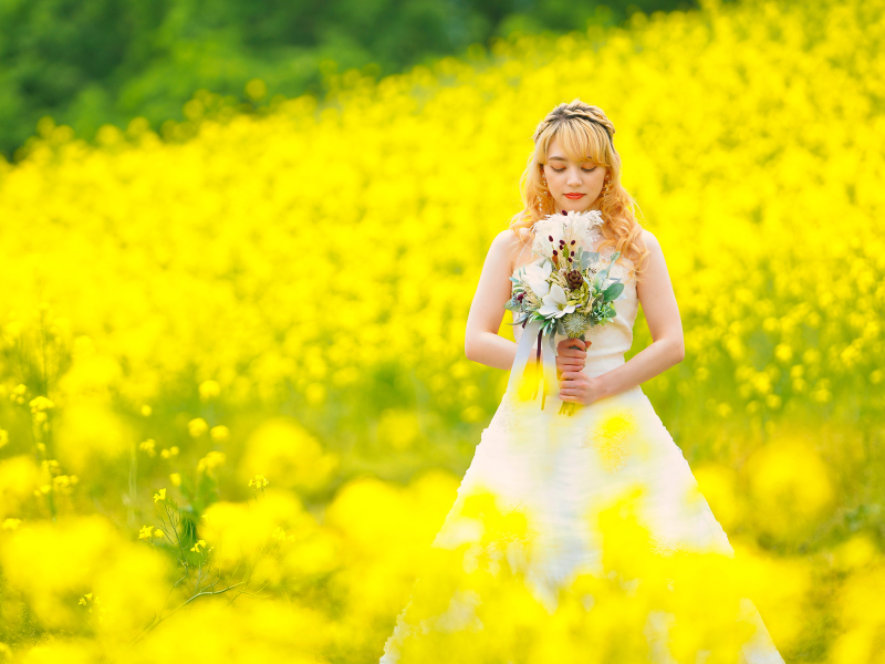 菜の花 三ノ倉 洋装 全データ プラン 通常価格より20％OFF 　　￥170,000 &rarr;￥136,000