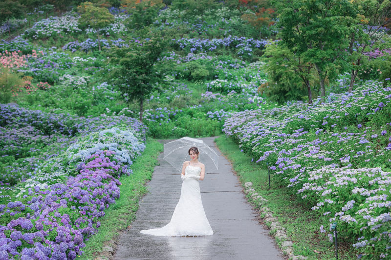 ７月限定あじさい ジュピアランド平田 全データ プラン　　　通常価格より 20％OFF ￥185,000&rarr; ￥148,000