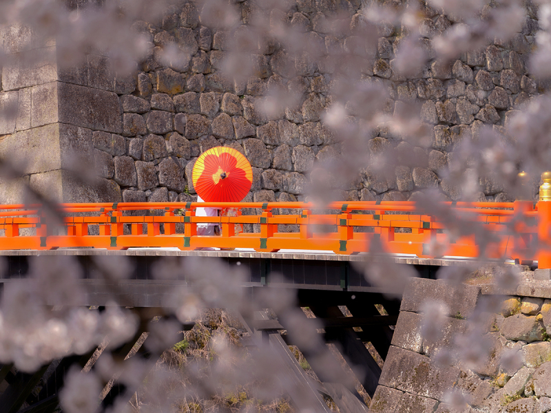 桜deロケフォト-和装1着-10Pアルバム付き-