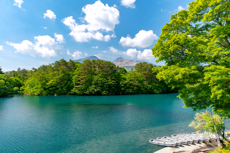 五色沼＆諸橋近代美術館 洋装 全データプラン 通常価格より　　　20％OFF 　￥179,800&rarr;￥143,840