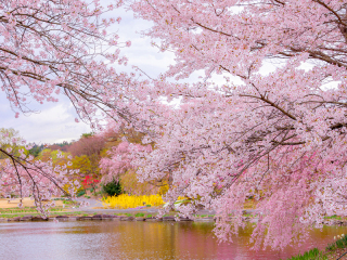 オレンジスタジオ会津若松