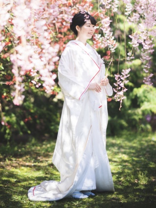 松竹鶴に梅（A10-011080）